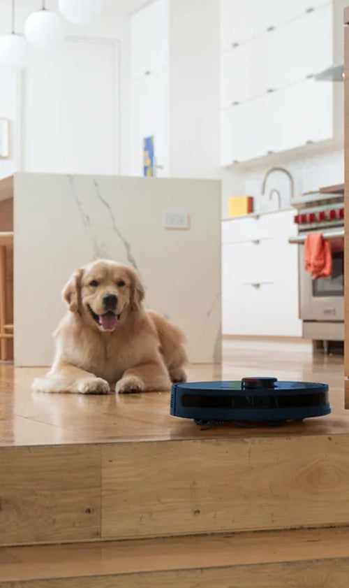 Dustin Wi-Fi Connected Self-Emptying Robot Vacuum and Mop in Night